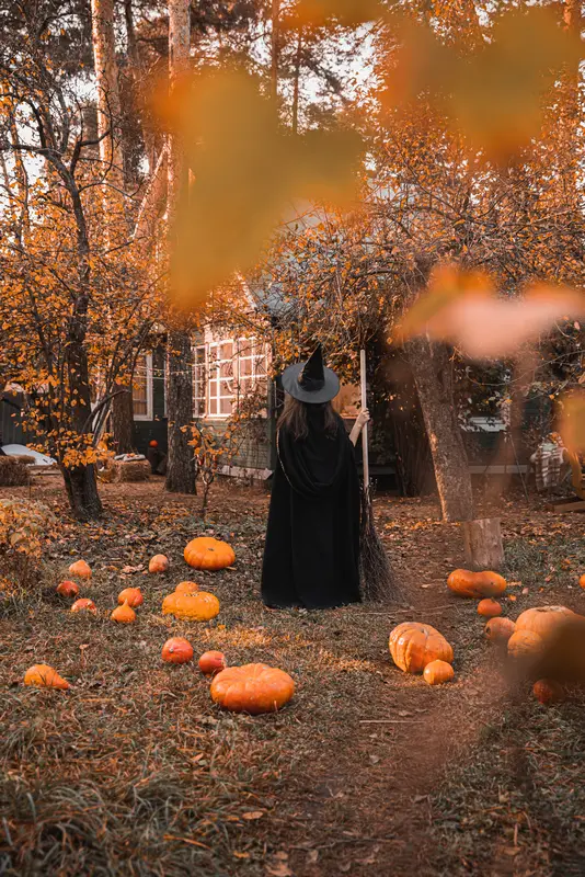 halloween déguisement de sorcière